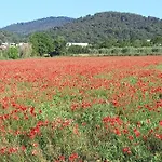 La Mosaique * Dauphin
