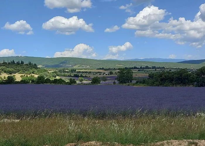 Holiday home La Mosaique *