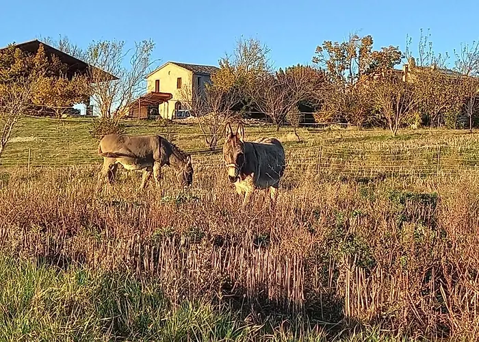 Holiday home La Mosaique Dauphin